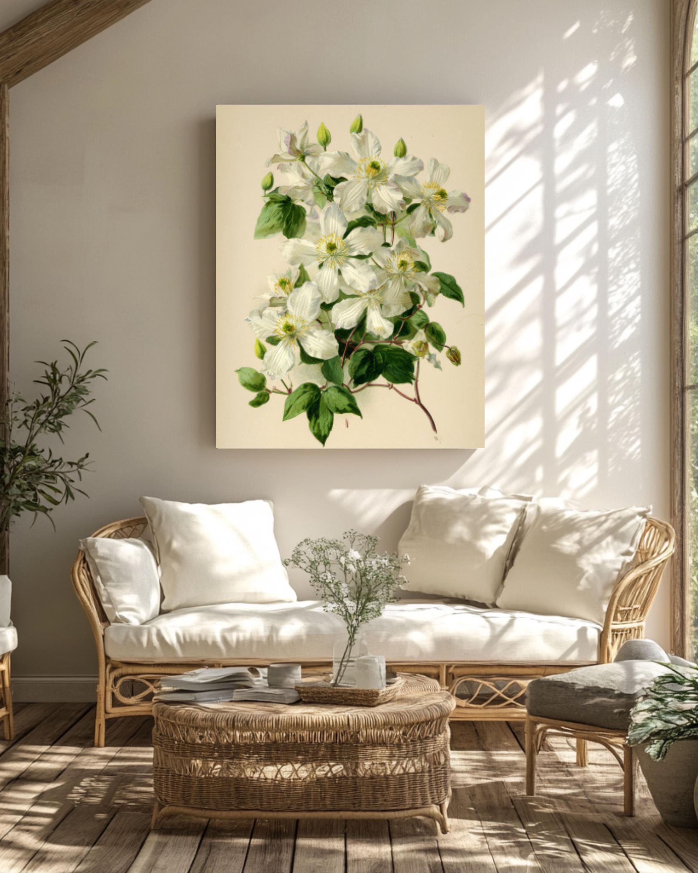 Vintage Clematis Botanical Wall Art | Cream Floral Canvas Print