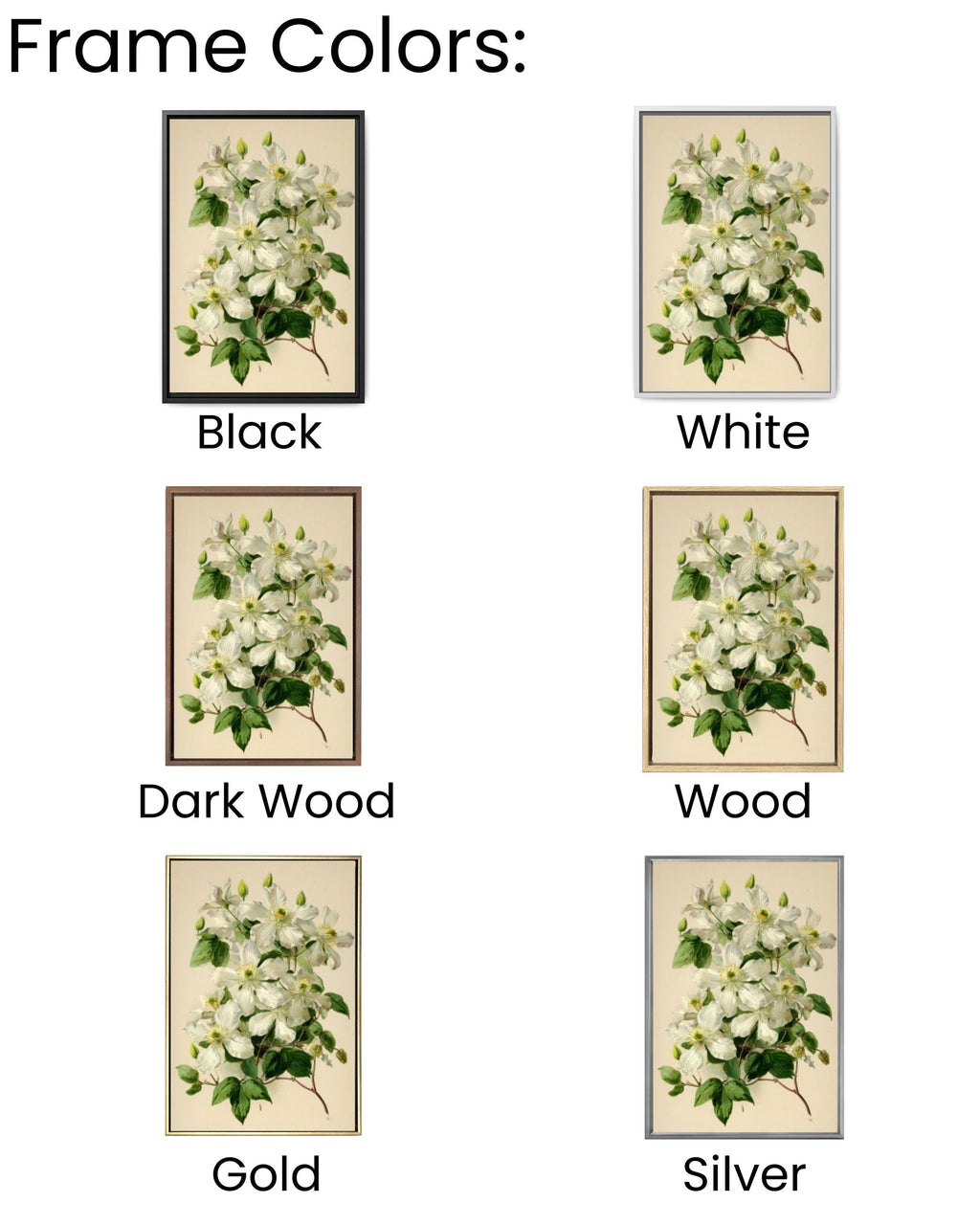 Vintage Clematis Botanical Wall Art | Cream Floral Canvas Print