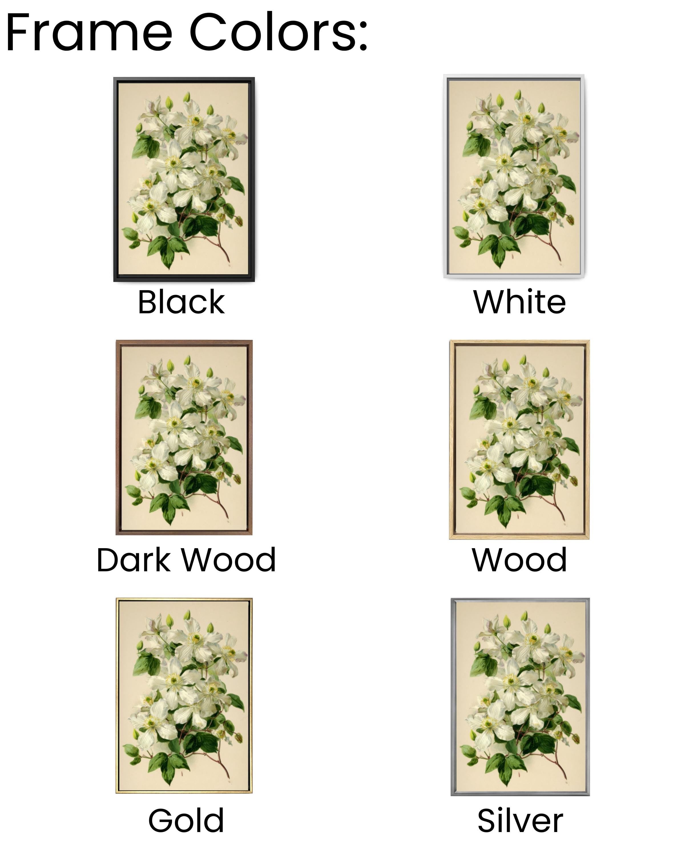 Vintage Clematis Botanical Wall Art | Cream Floral Canvas Print