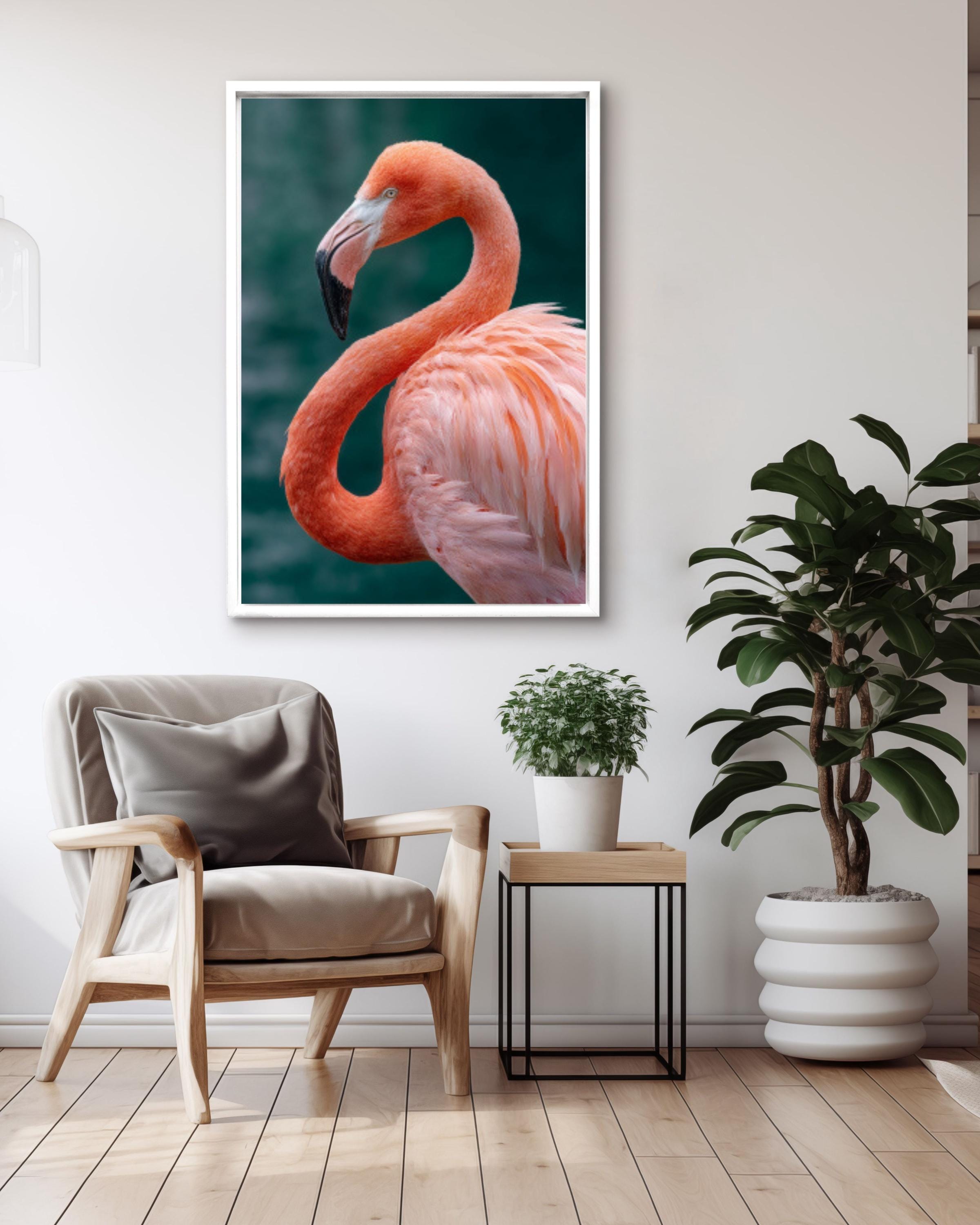 Pink Flamingo Portrait: Tropical Bird Wall Art, Canvas or Framed for home and office wall décor