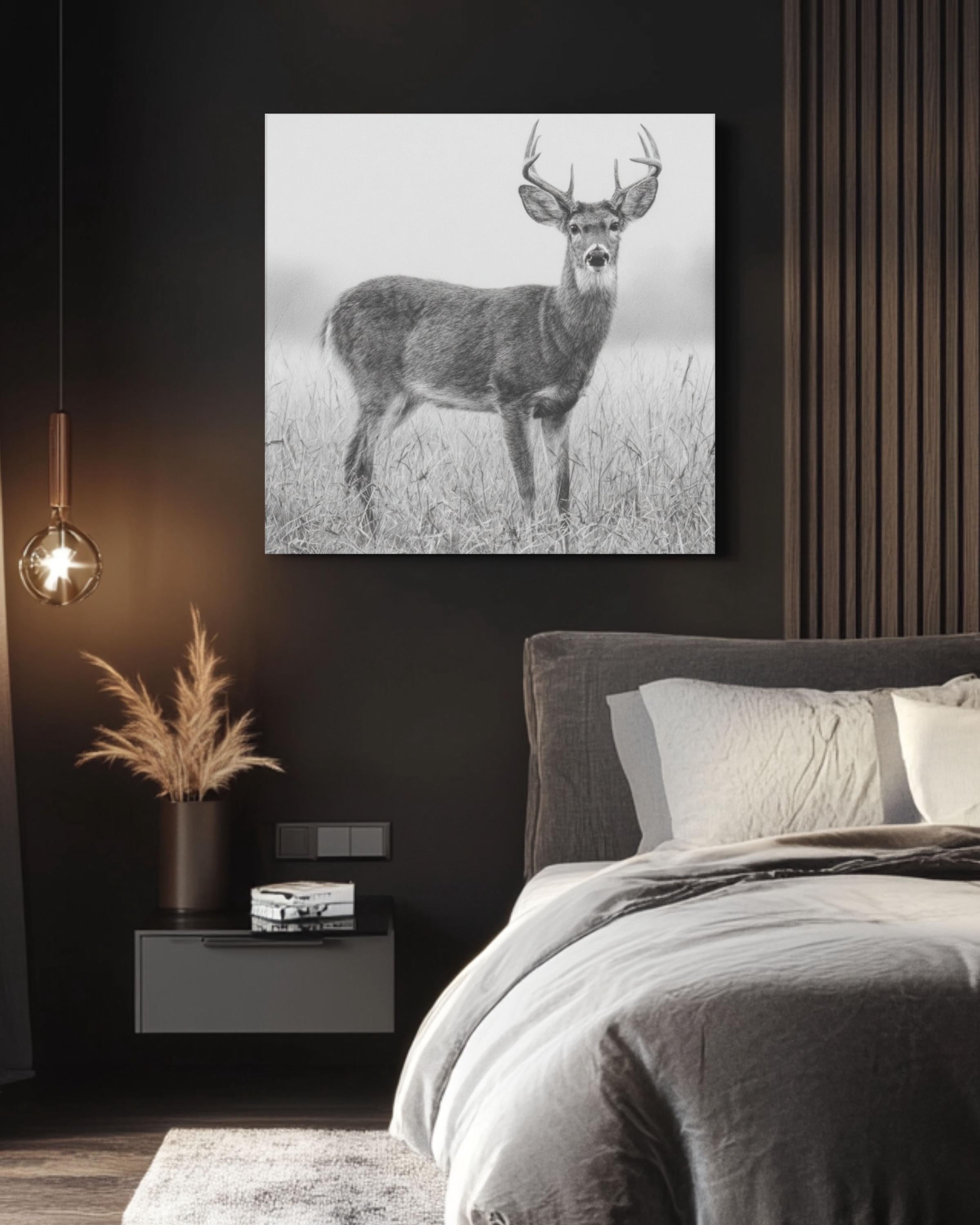 White-Tailed Deer Pencil Wall Art | Rustic Wildlife Canvas Print