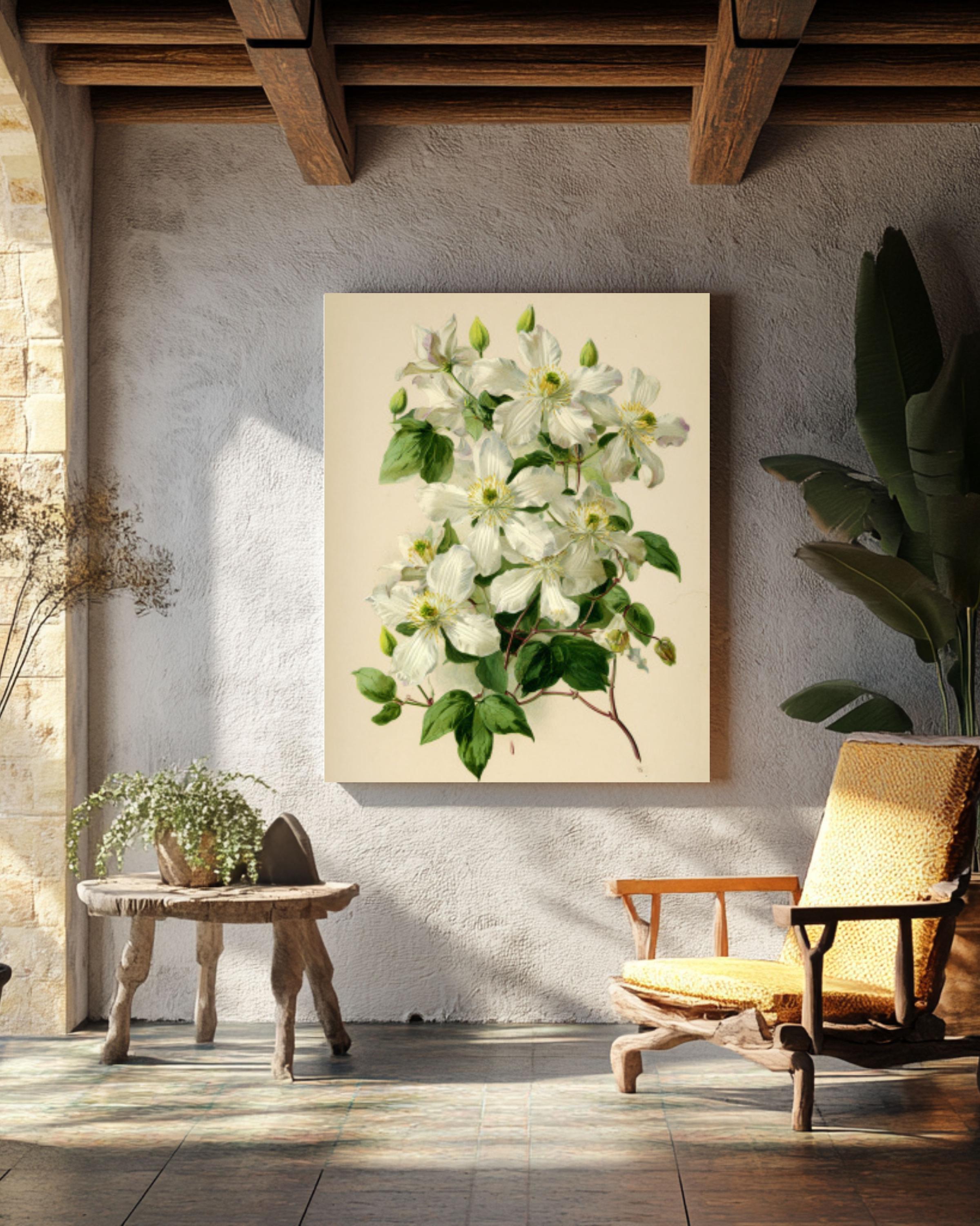 Vintage Clematis Botanical Wall Art | Cream Floral Canvas Print