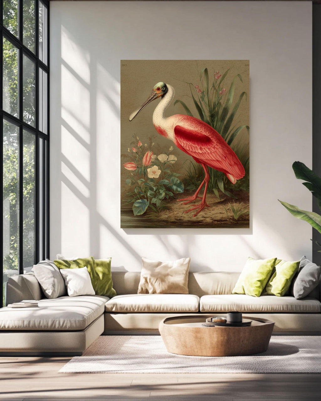 Roseate Spoonbill Bird Art | Wildlife Coastal