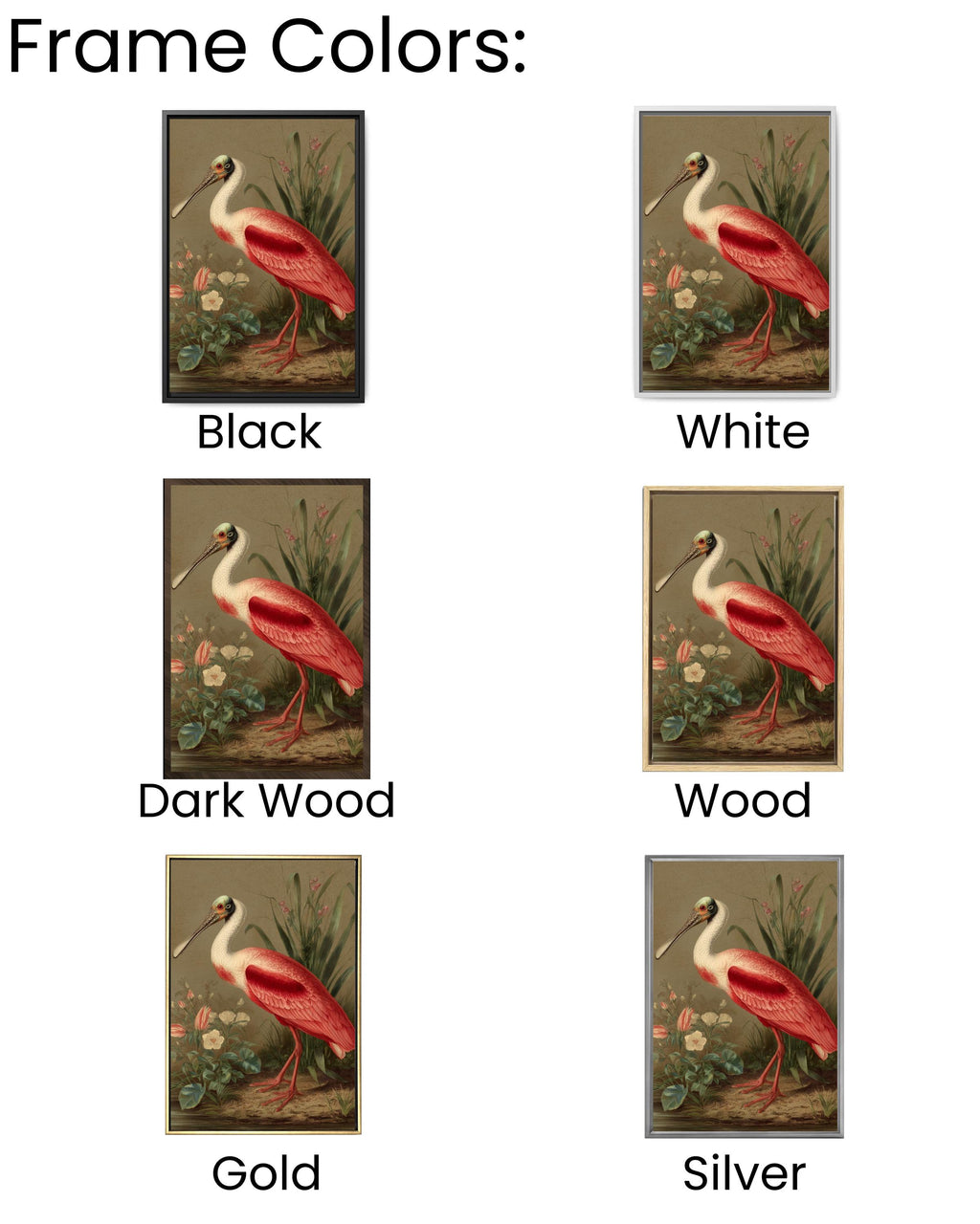 Roseate Spoonbill Bird Art | Wildlife Coastal