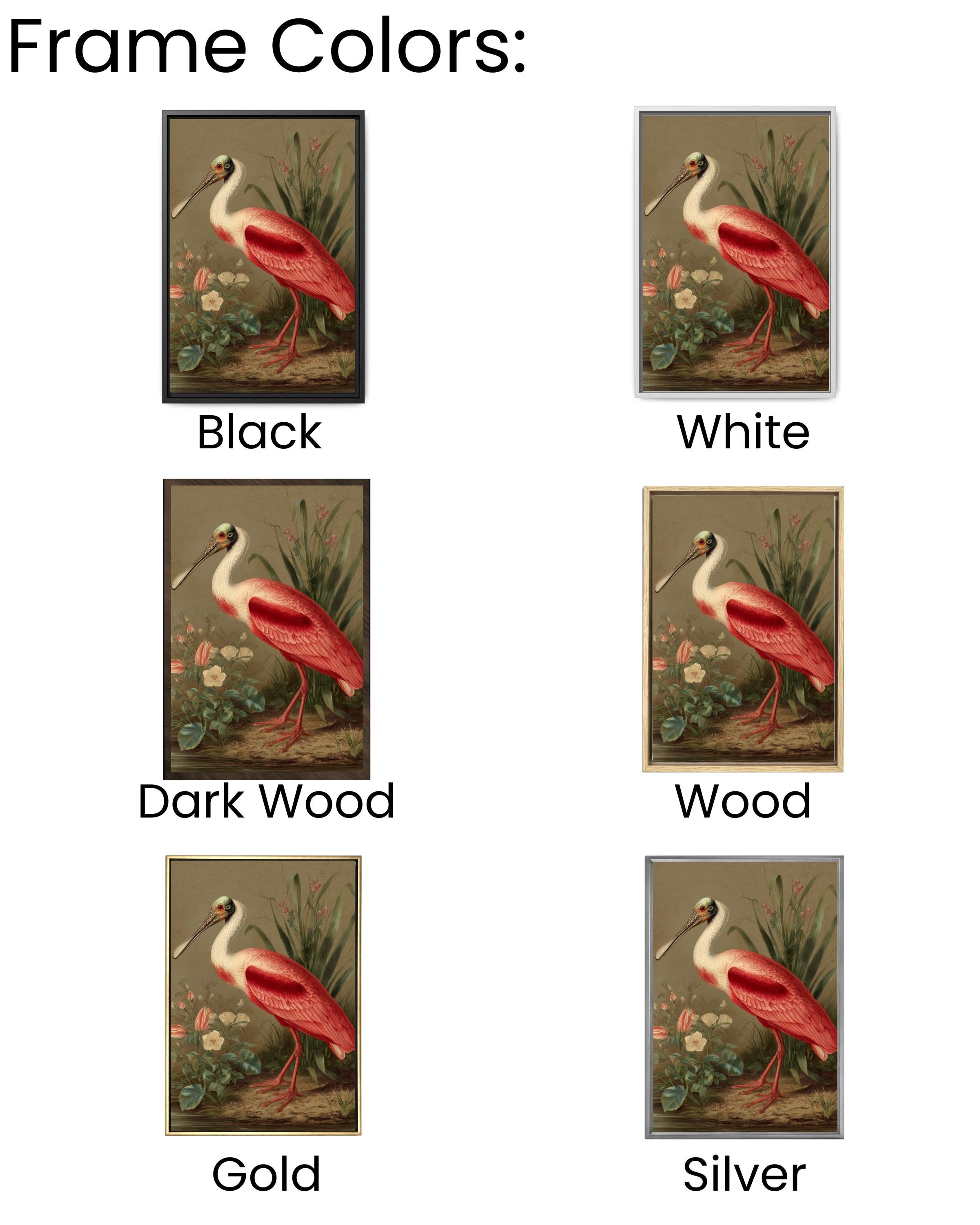 Roseate Spoonbill Bird Art | Wildlife Coastal