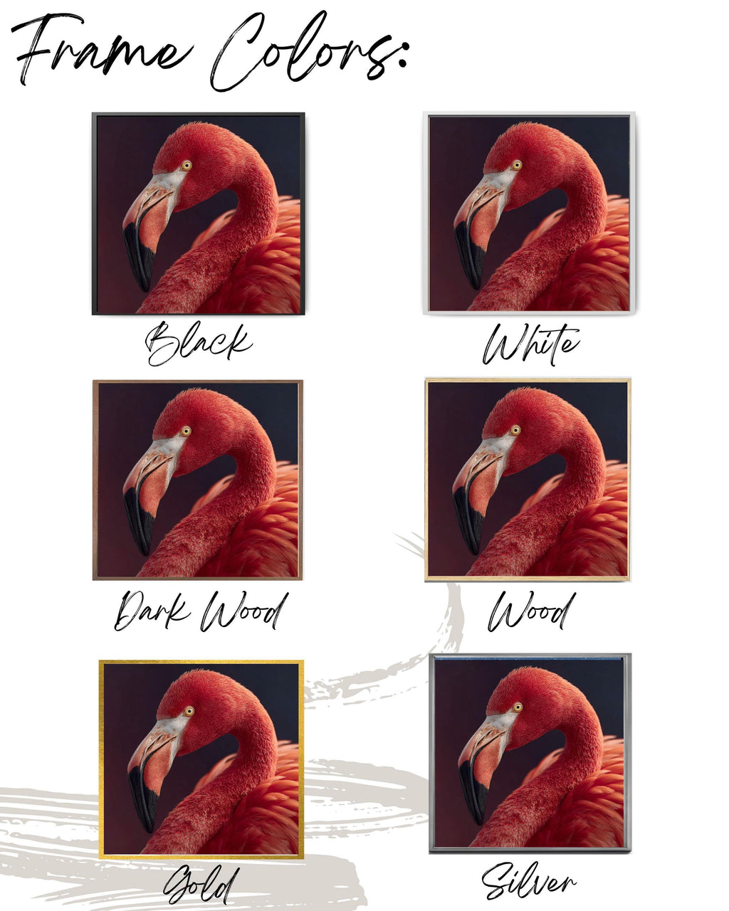Pink Flamingo Portrait | Elegant Animal Photography