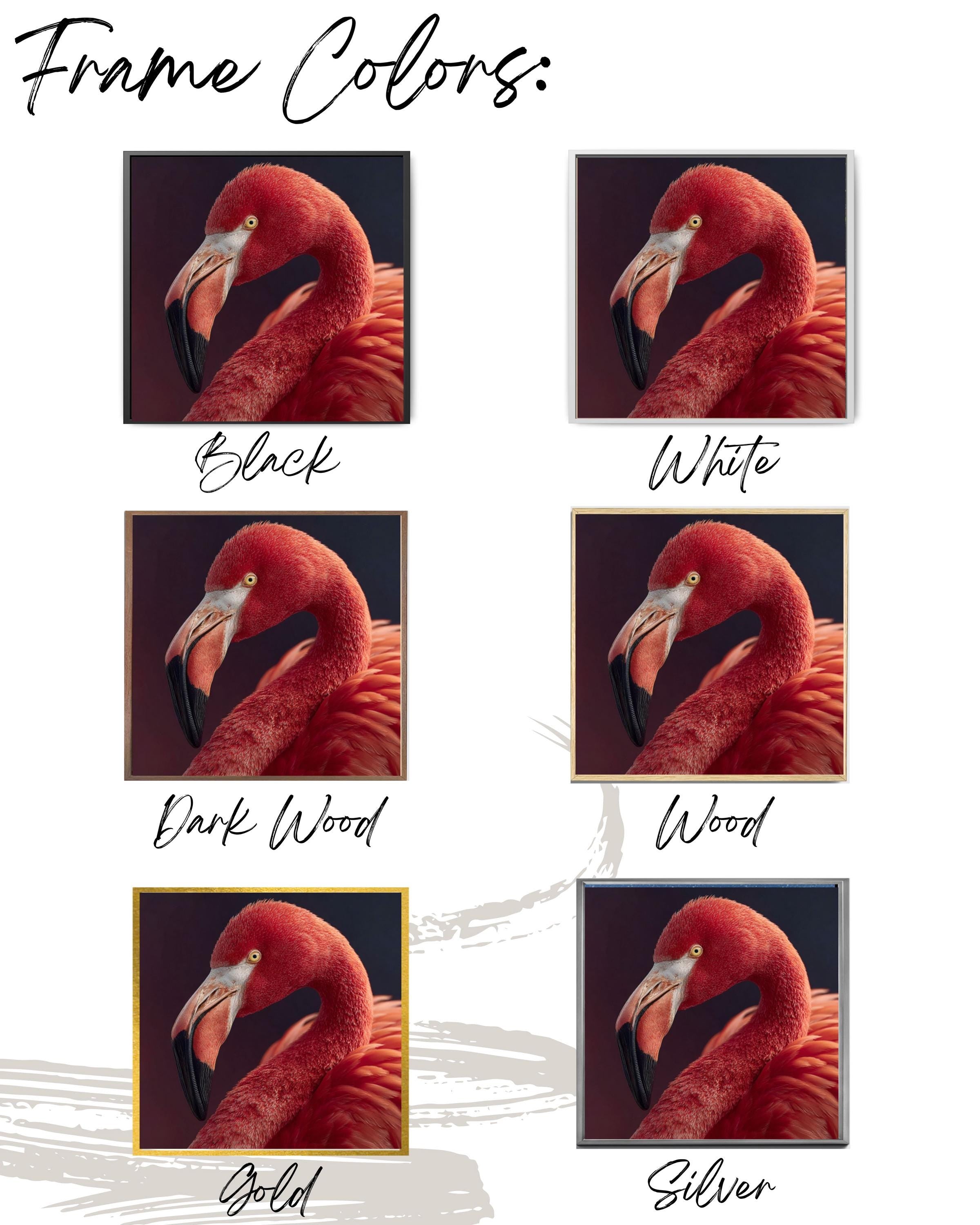 Pink Flamingo Portrait | Elegant Animal Photography